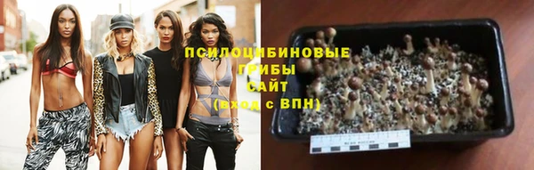 бутират Новозыбков