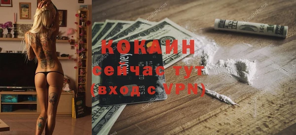 соль курить ск Новодвинск