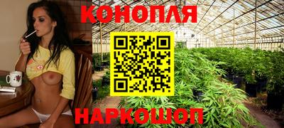 стаф Рязань