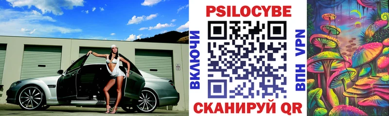 Псилоцибиновые грибы Psilocybine cubensis  omg как войти  Тавда 