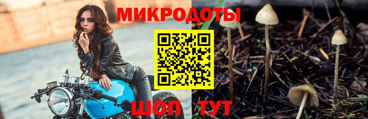 Псилоцибиновые грибы мицелий Тавда